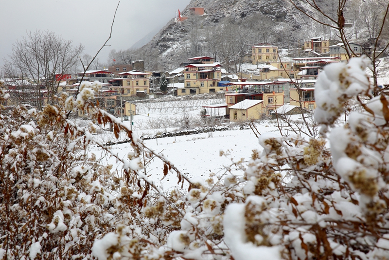 春雪     曾生迪摄影05.jpg