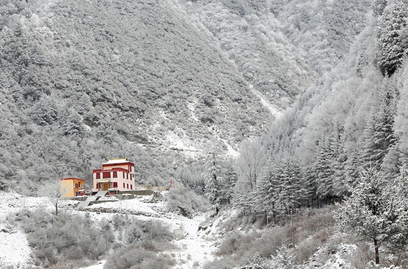 春雪     曾生迪摄影06.jpg