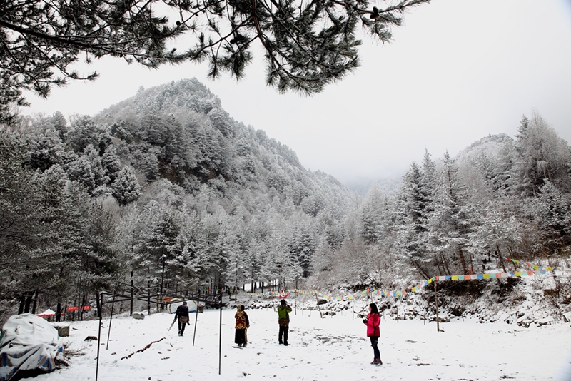 春雪     曾生迪摄影10.jpg