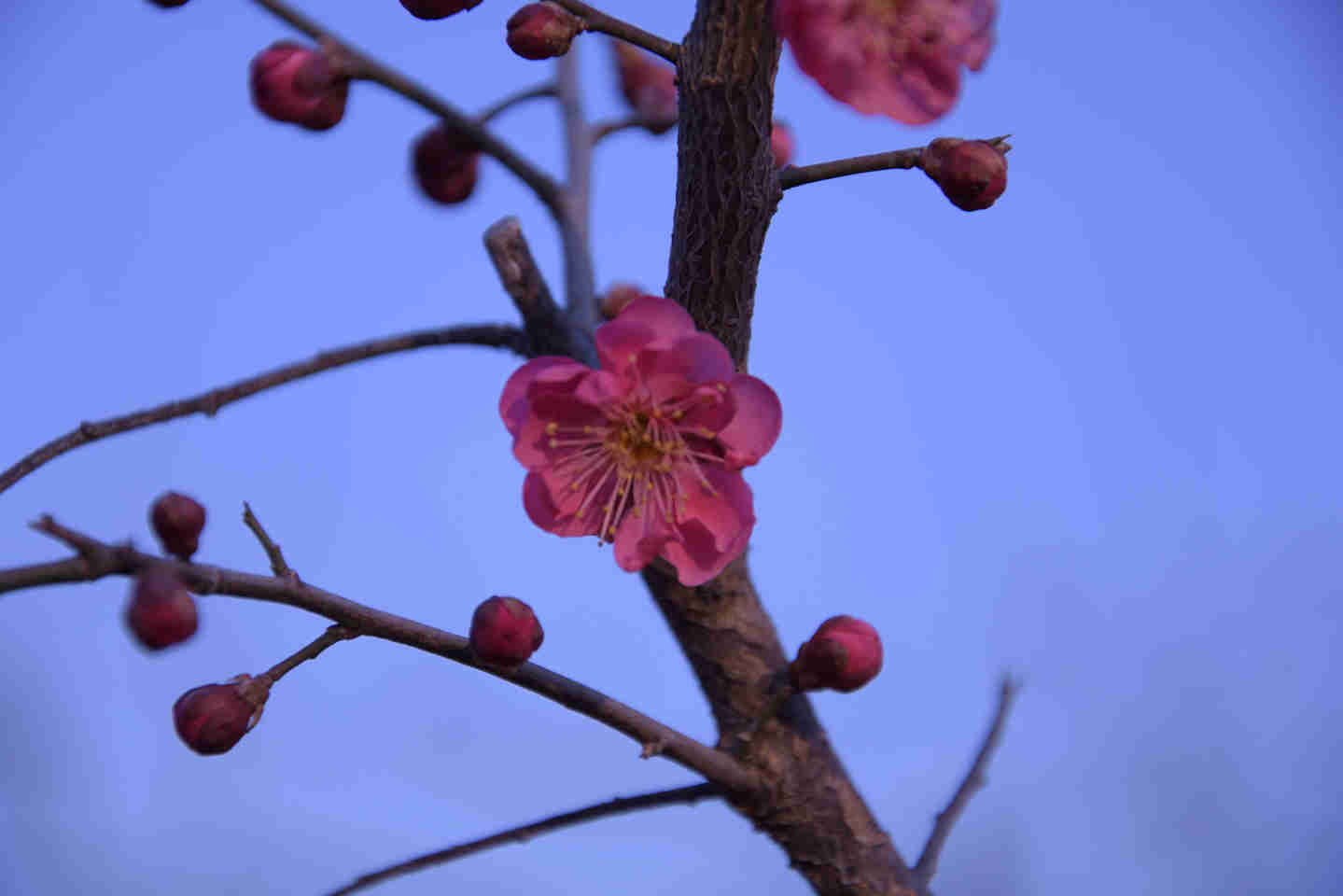 DSC_1345_副本.jpg