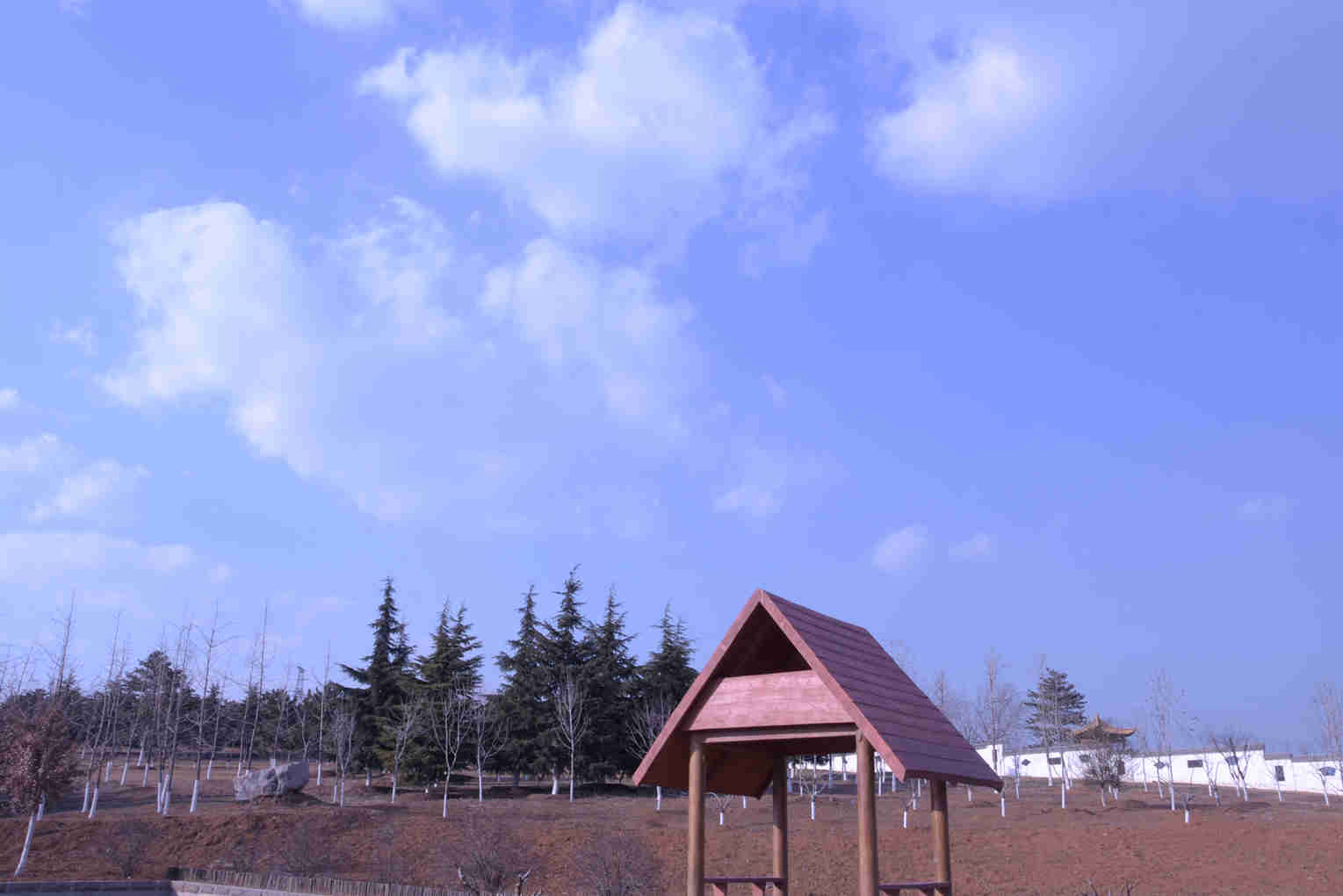 DSC_1315_副本.jpg