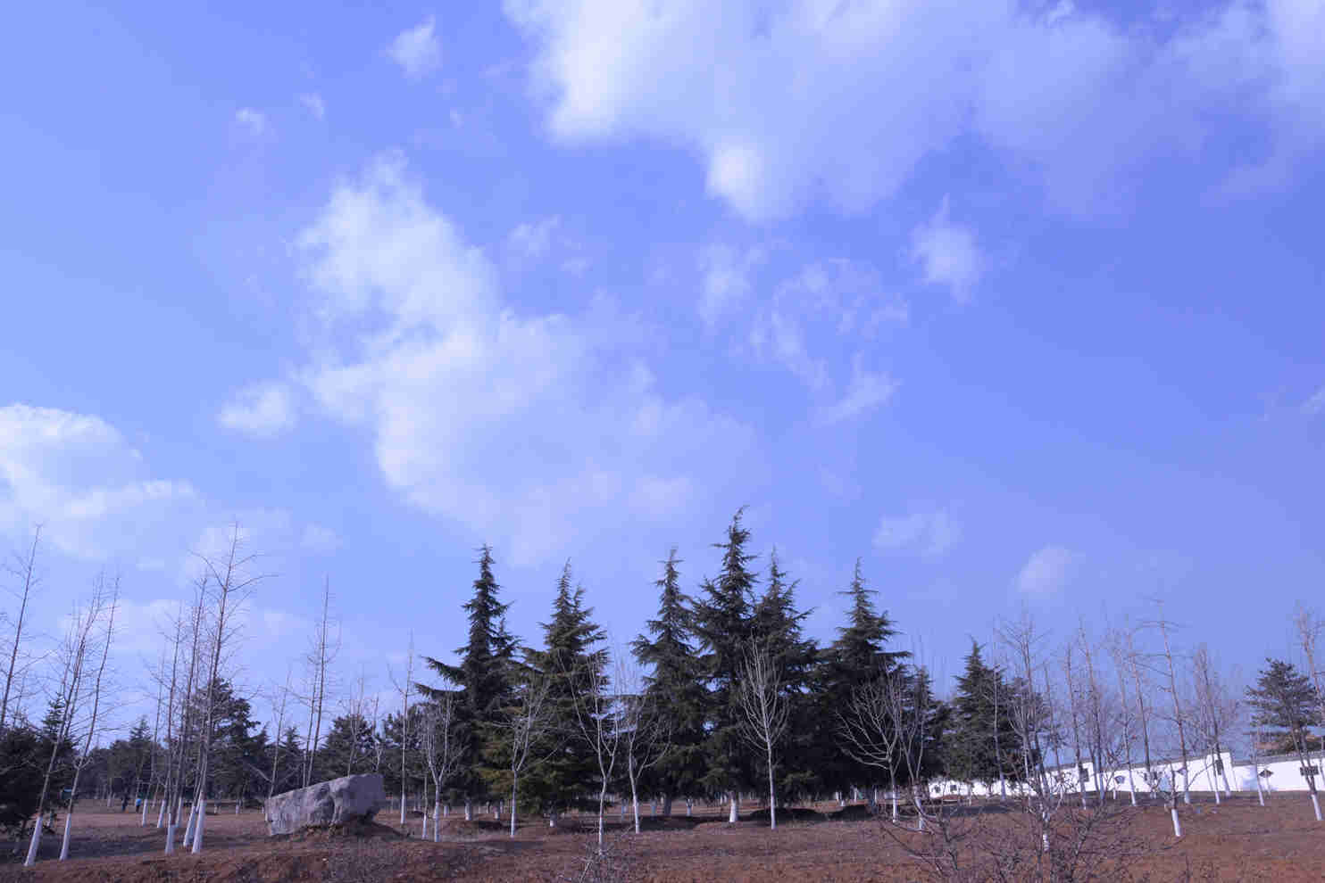 DSC_1319_副本.jpg