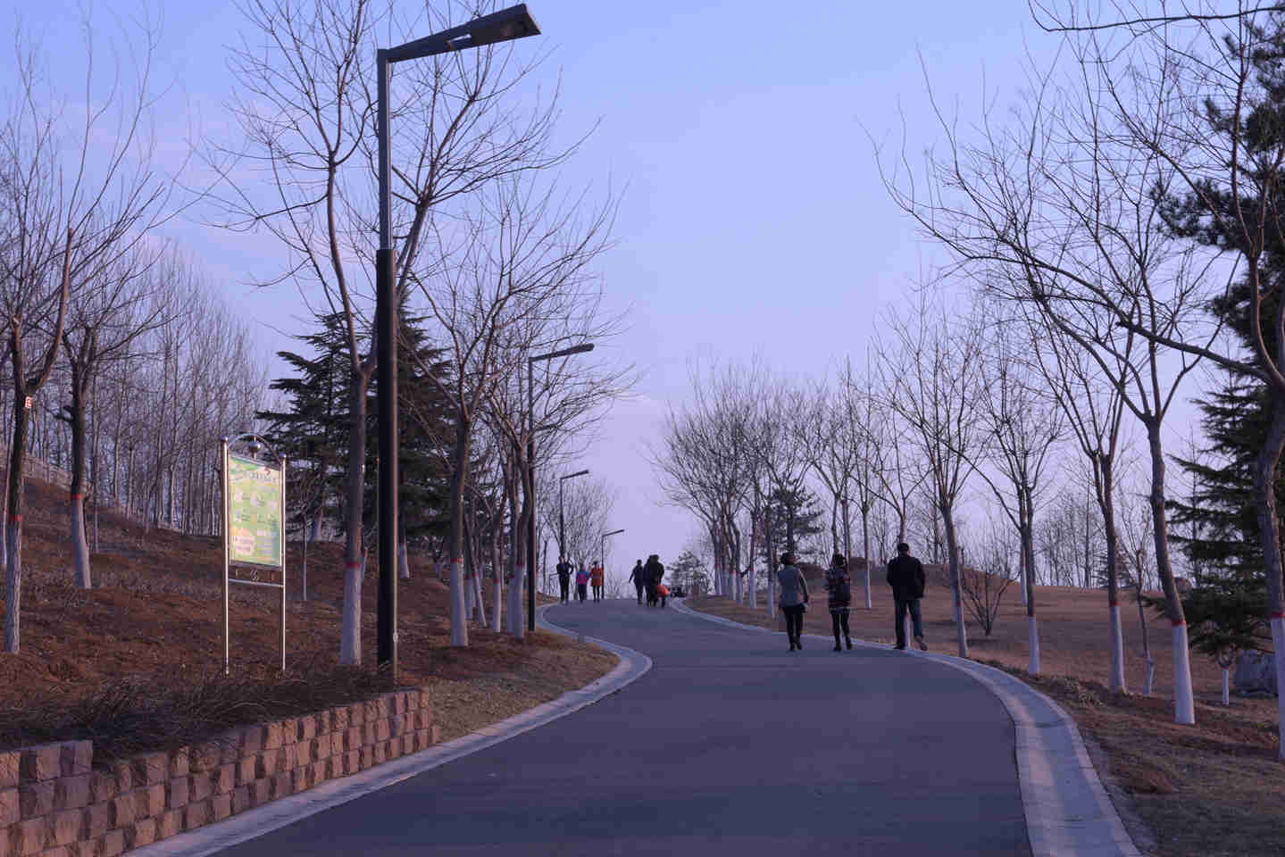 DSC_1352_副本.jpg