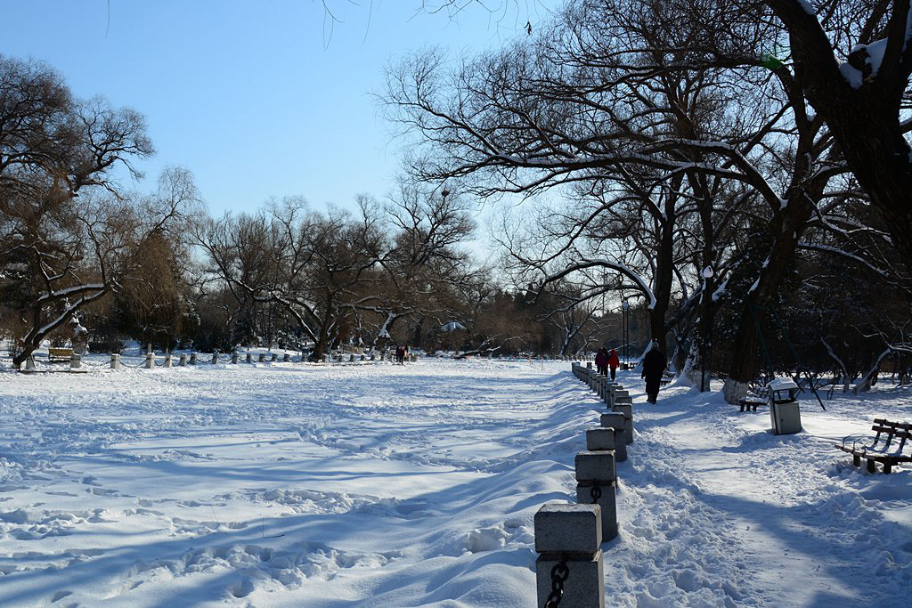 公园雪景 (7).jpg