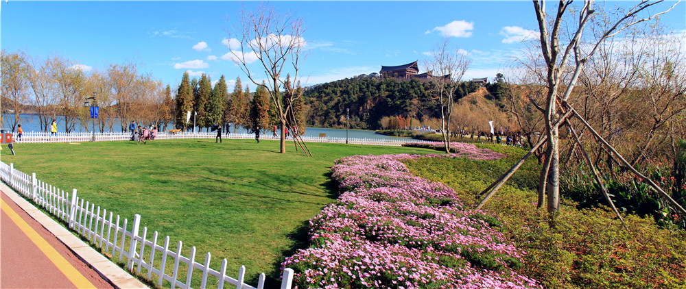 昆明古滇湿地公园 (11).jpg