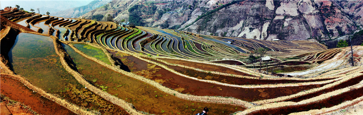 米易新山 (1).jpg