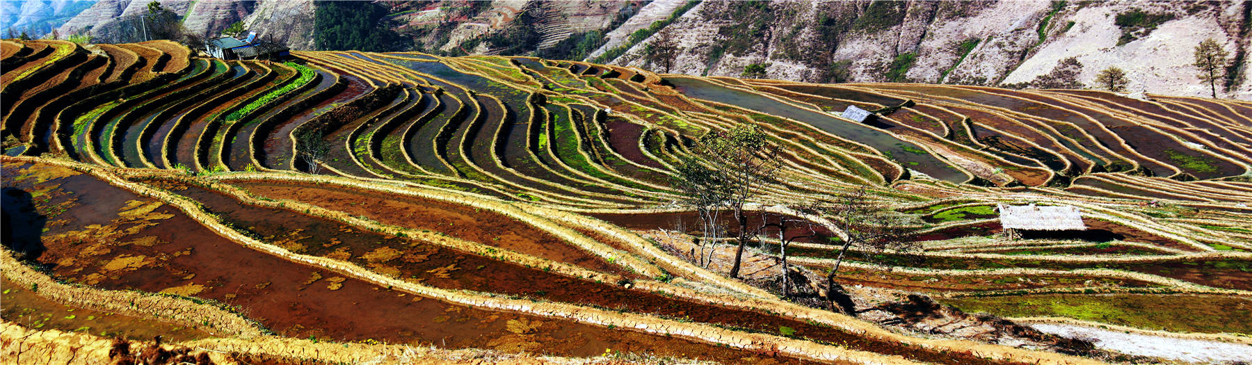 米易新山 (2).jpg
