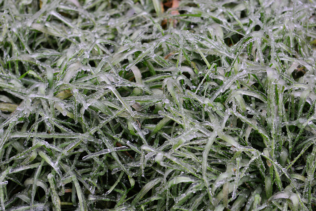 DSC_0341.JPG