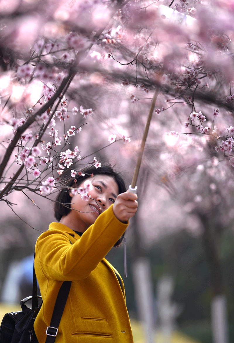 DSC_1753_副本.jpg