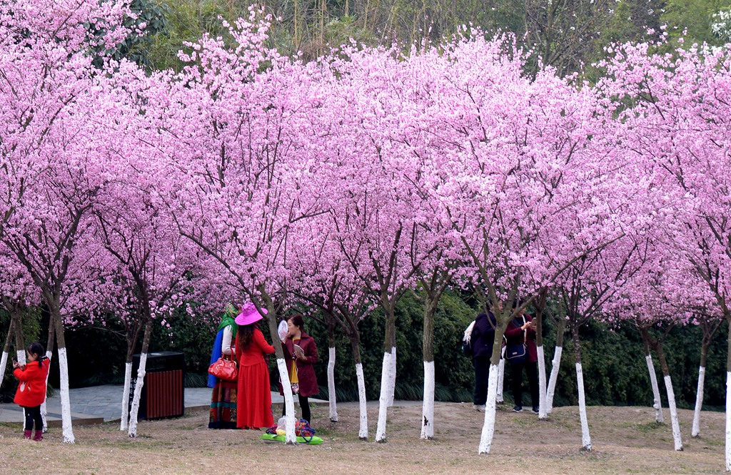 DSC_2015_副本.jpg