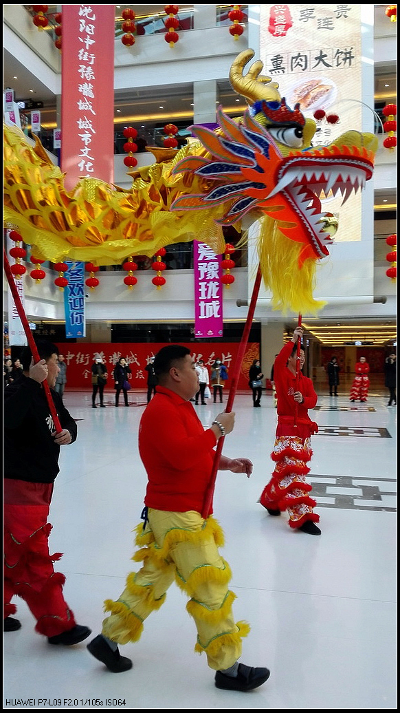 龙腾狮舞1.jpg