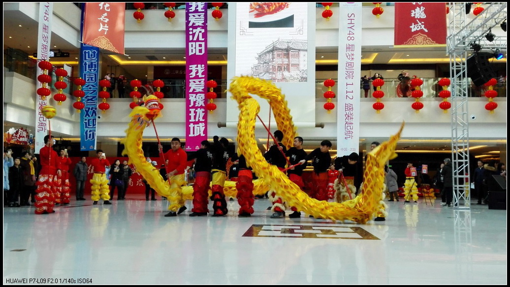 龙腾狮舞2.jpg
