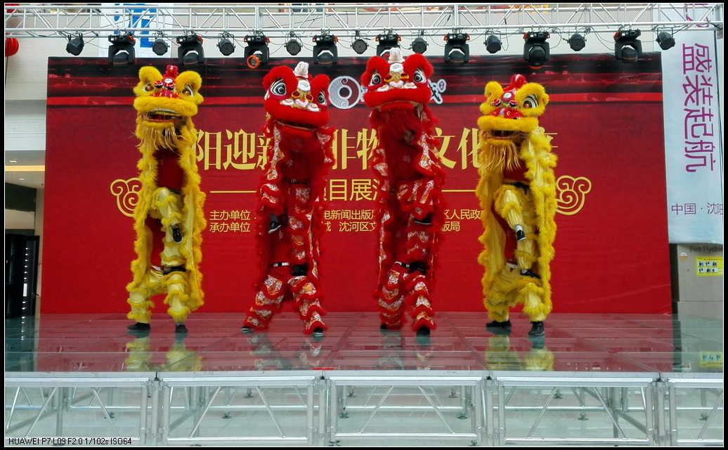 龙腾狮舞4.jpg