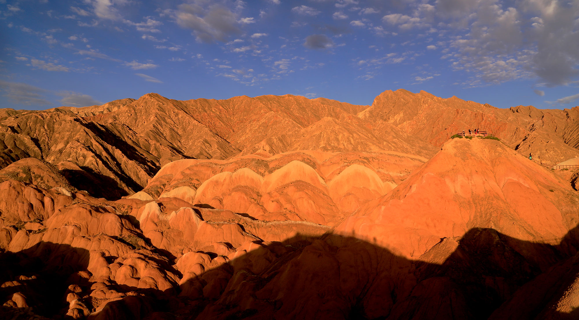 _MG_4006.jpg