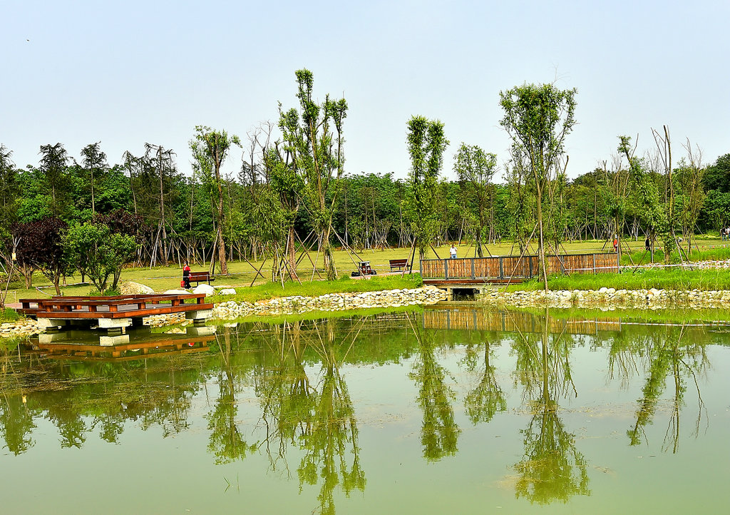 DSC_0993_副本.JPG