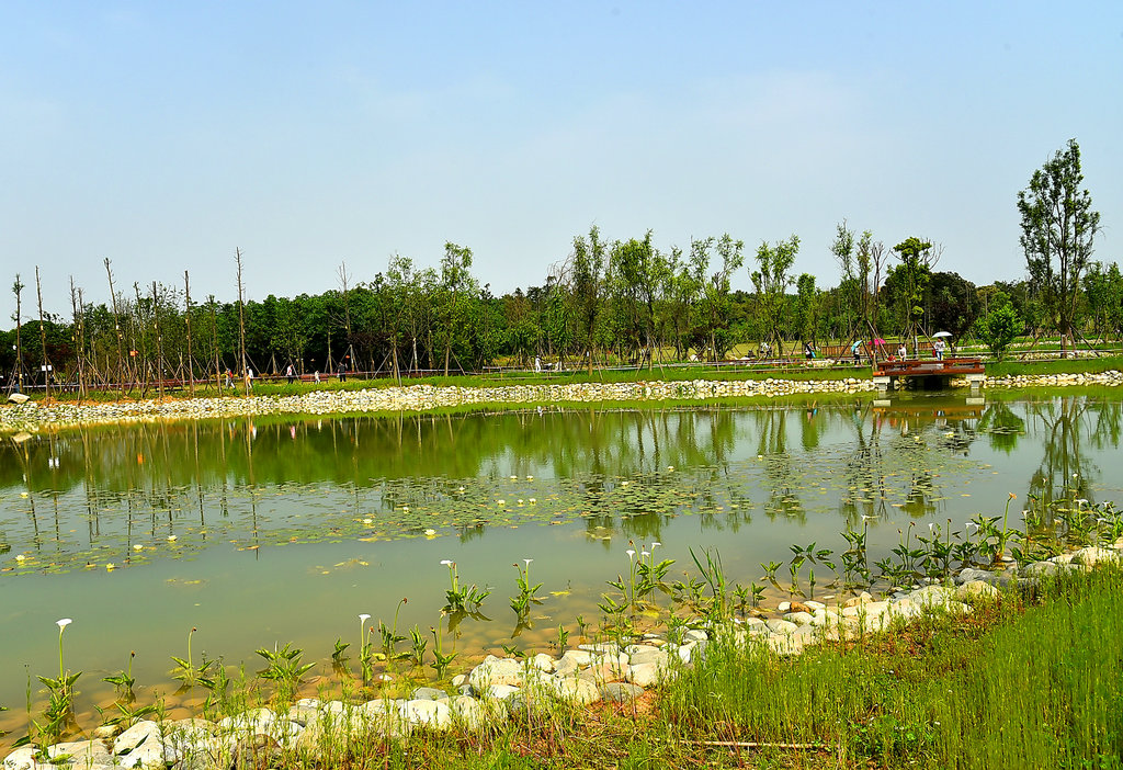 DSC_0991_副本.JPG