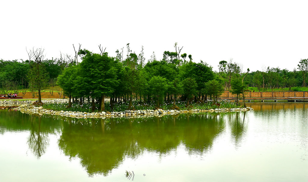 DSC_0980_副本.JPG