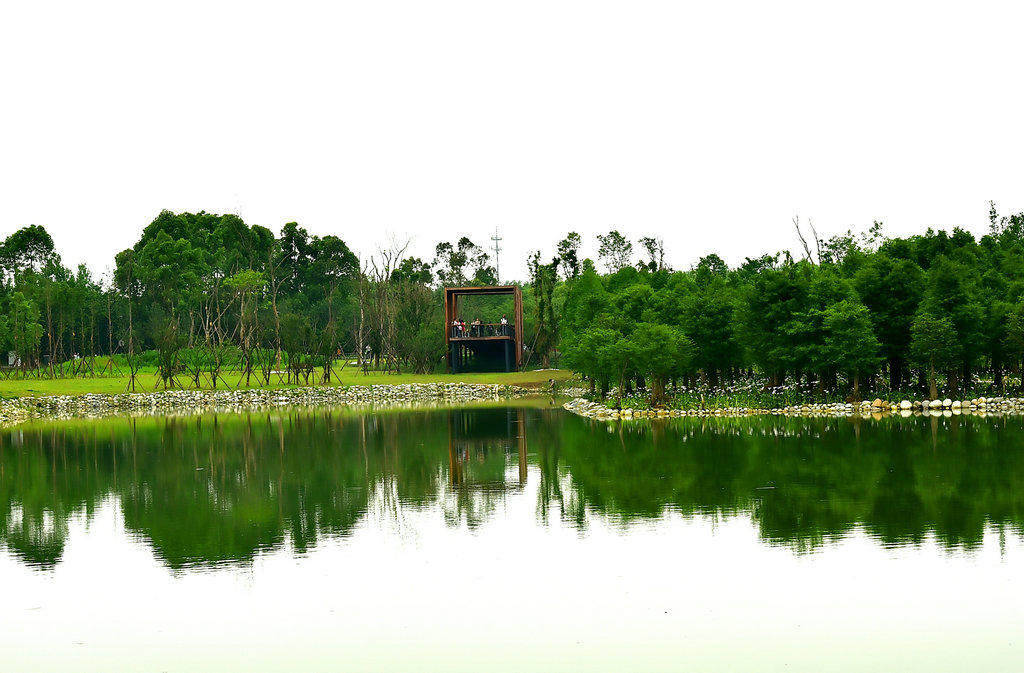 DSC_0977_副本.JPG