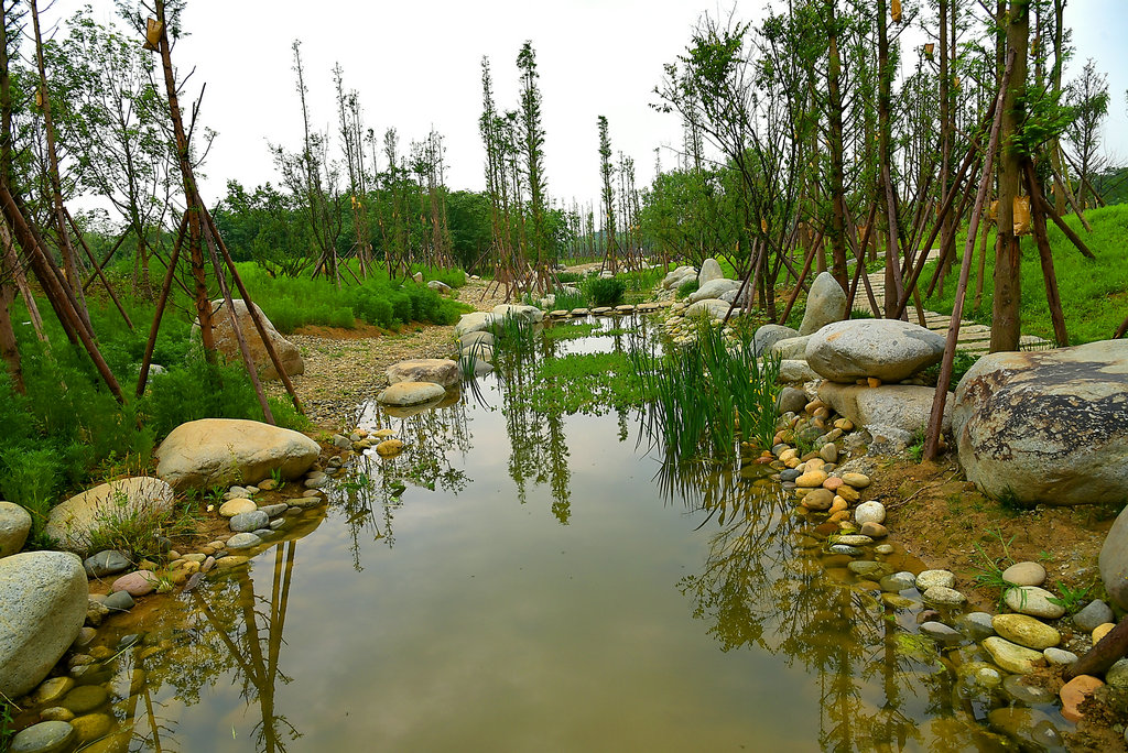DSC_0973_副本.JPG