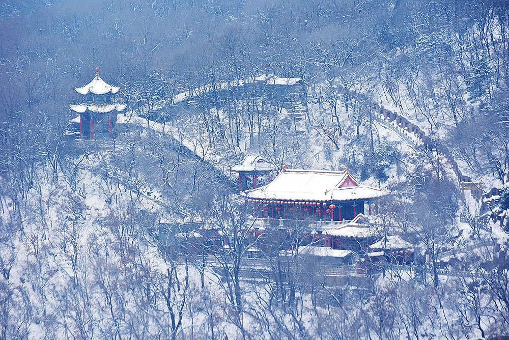 DSC_0735x.jpg