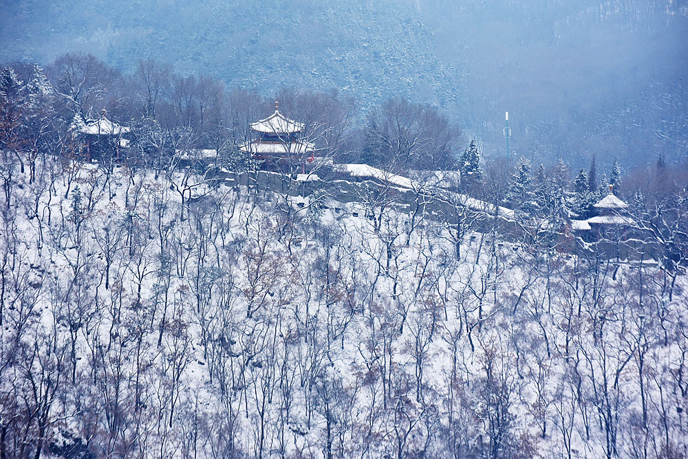 DSC_0737x.jpg