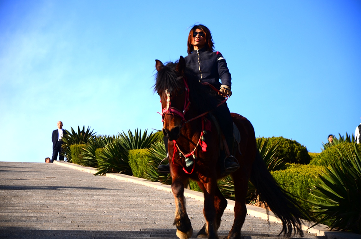 DSC_0246.JPG