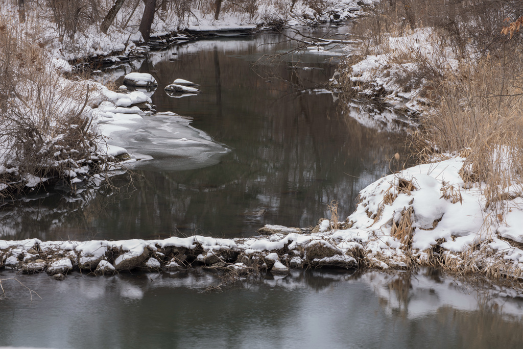 DSC_2817.jpg