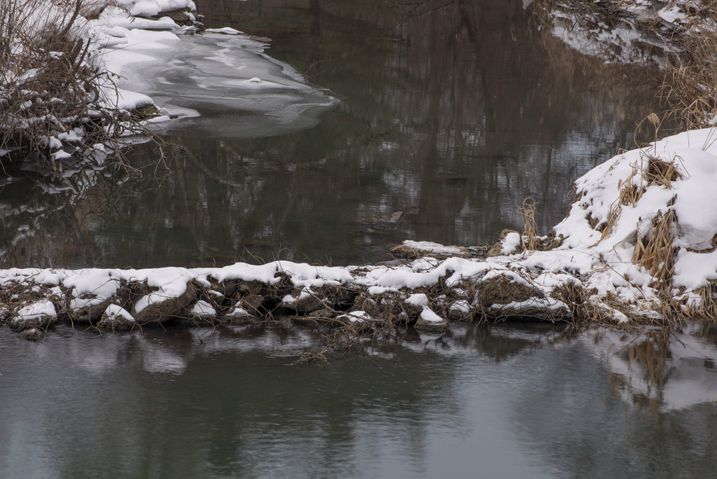 DSC_2819.jpg