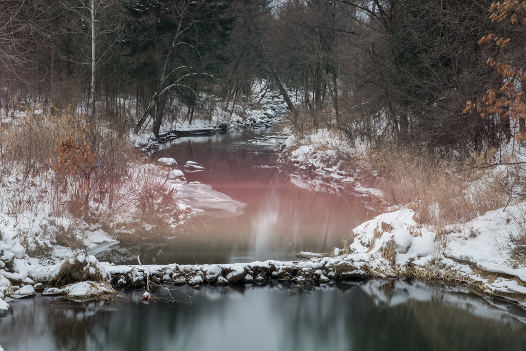 DSC_2824.jpg