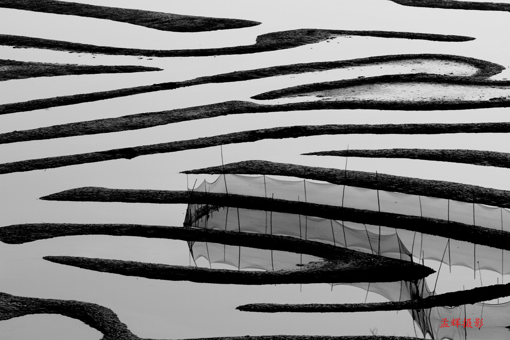 _MG_5380.JPG