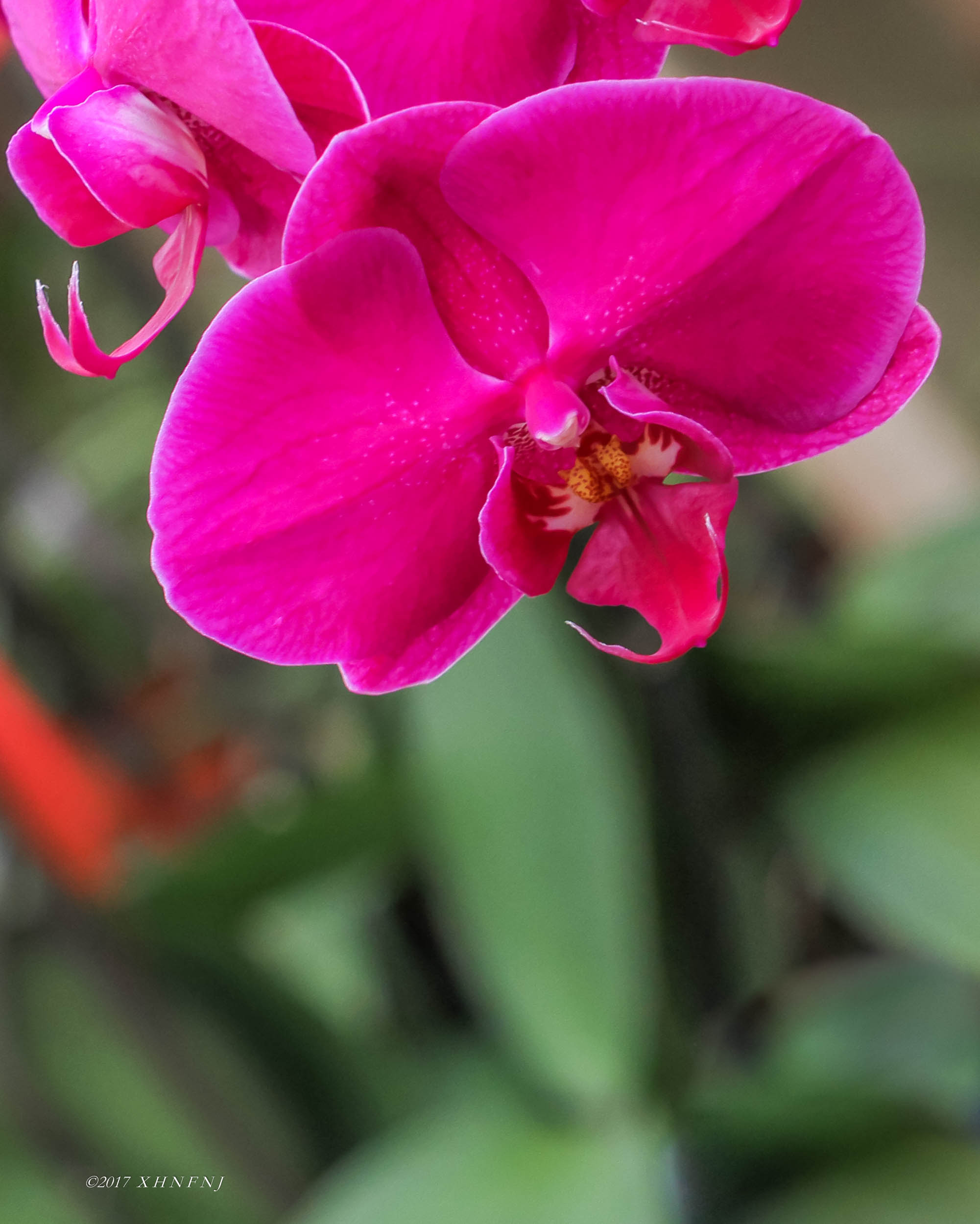 IMG_9982.jpg