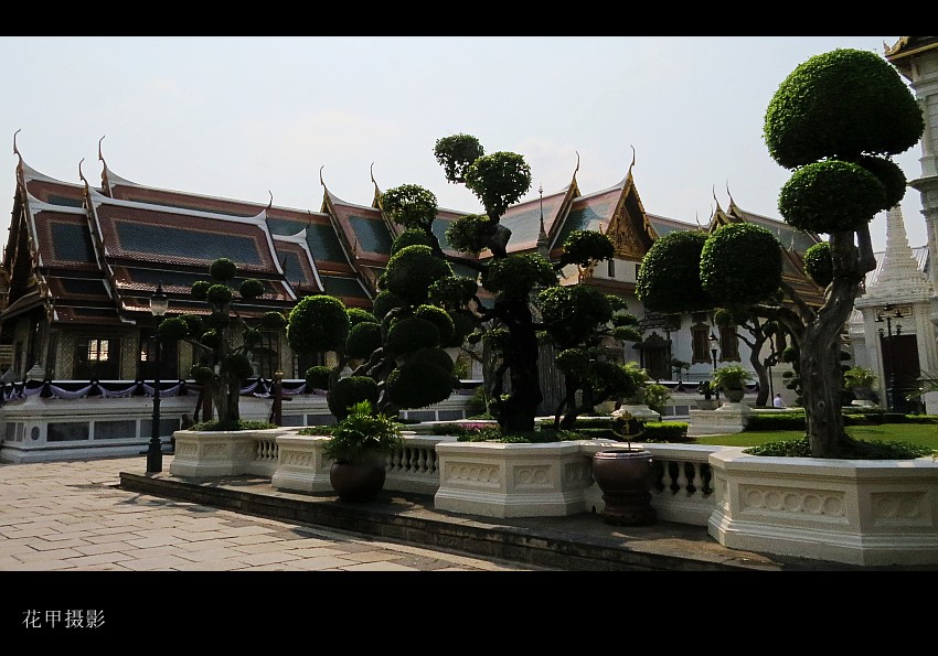 IMG_7159_conew1.jpg