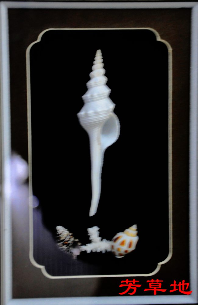 DSC_4417.jpg