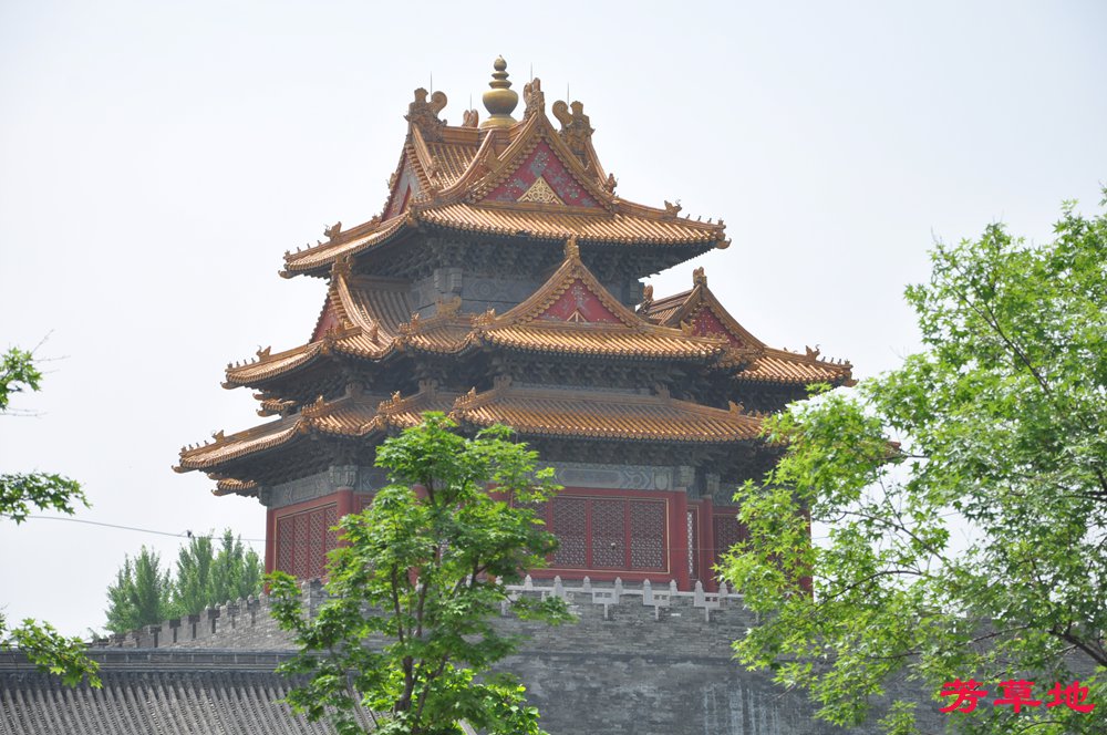 DSC_0304.jpg