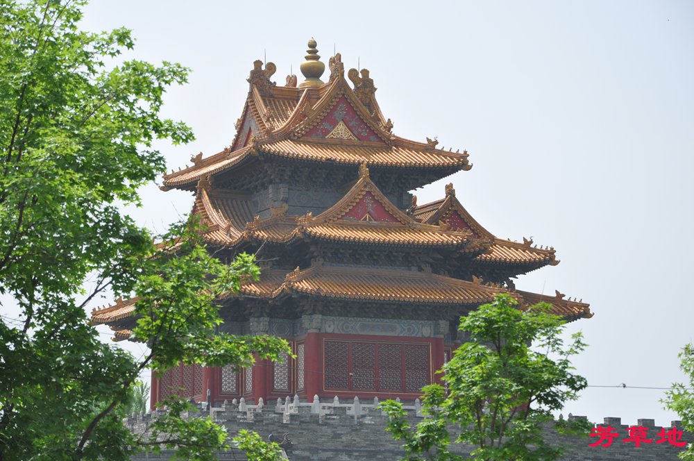 DSC_0305.jpg