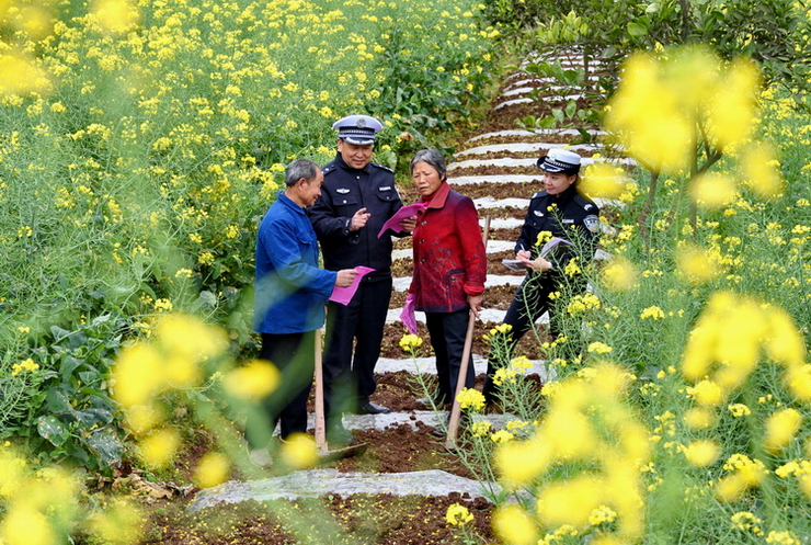 《春到田间说安全》_8105 (1).JPG