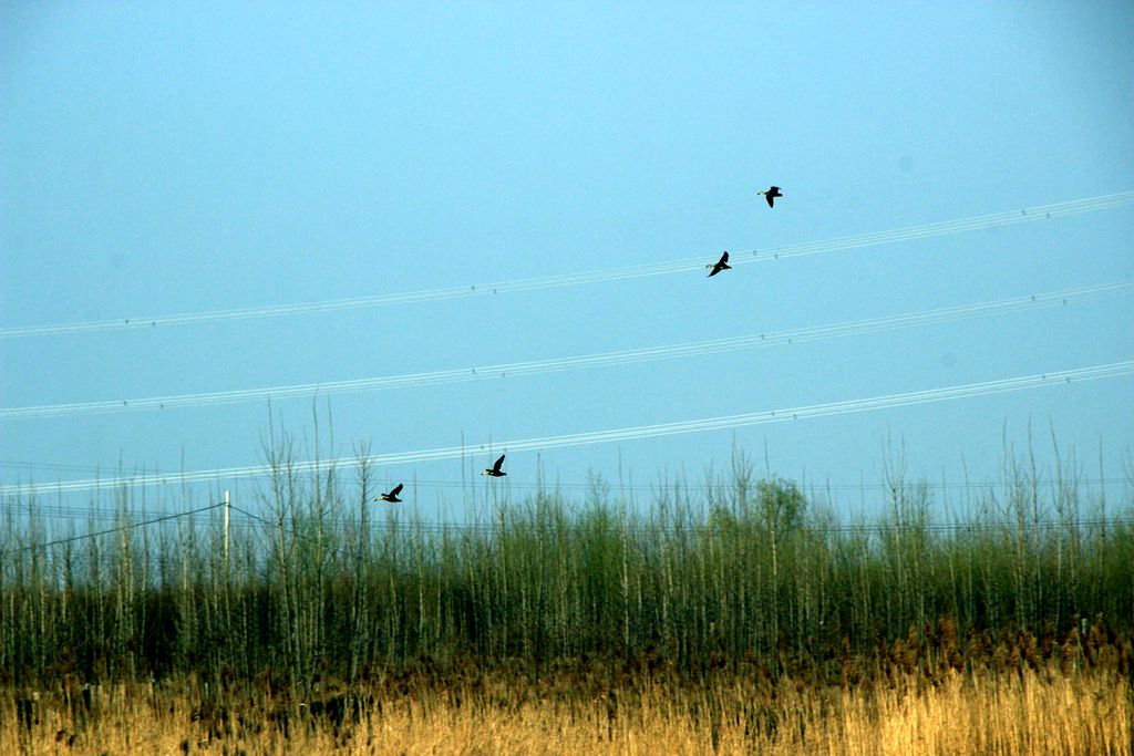 IMG_0027.JPG
