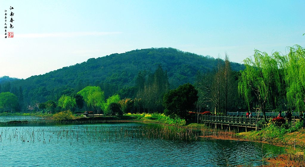 026_conew1.jpg