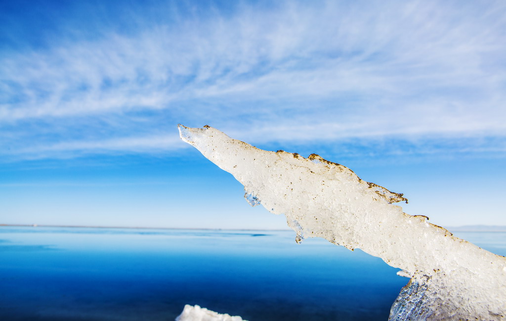 8R5A5127_调整大小.jpg