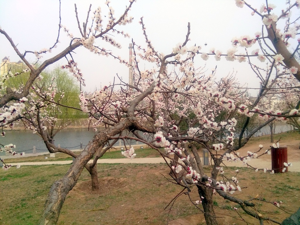IMG_20170320_152921.jpg