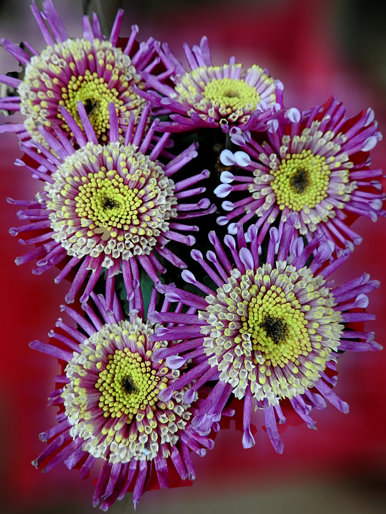 DSCN2298.JPG
