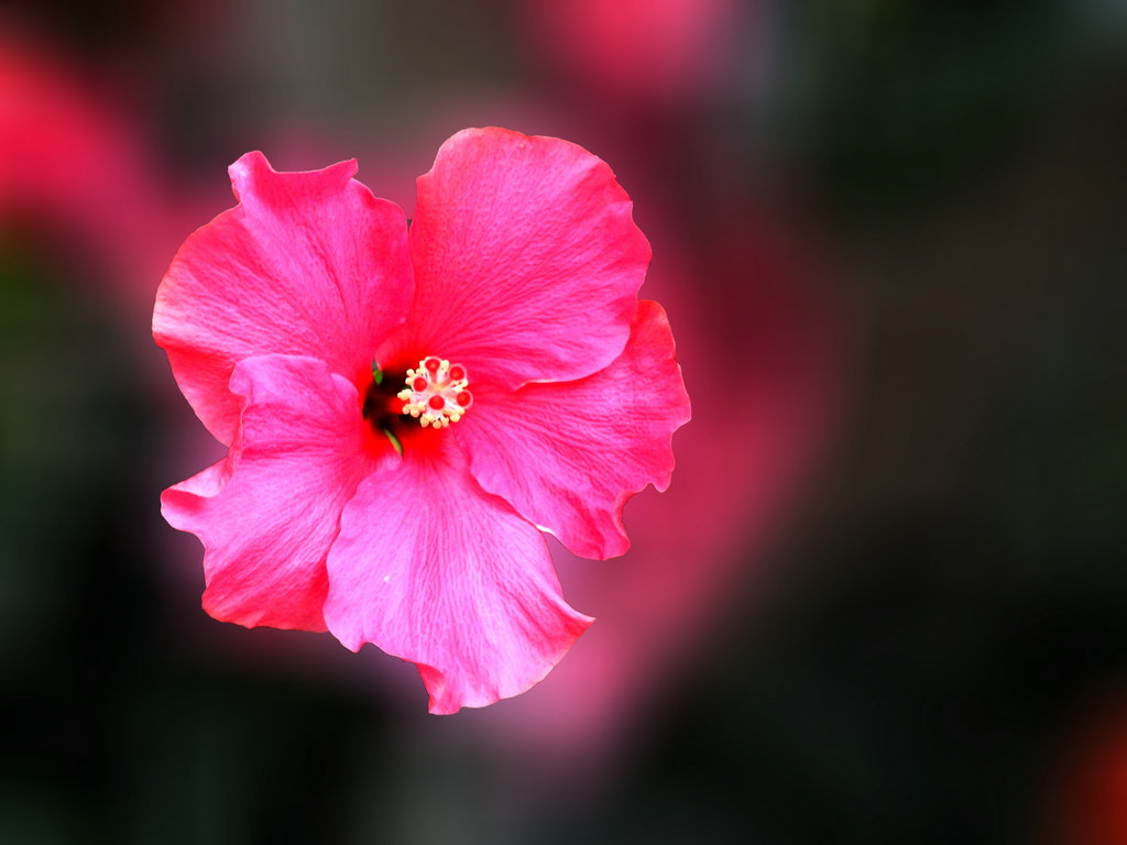 DSCN2300.JPG