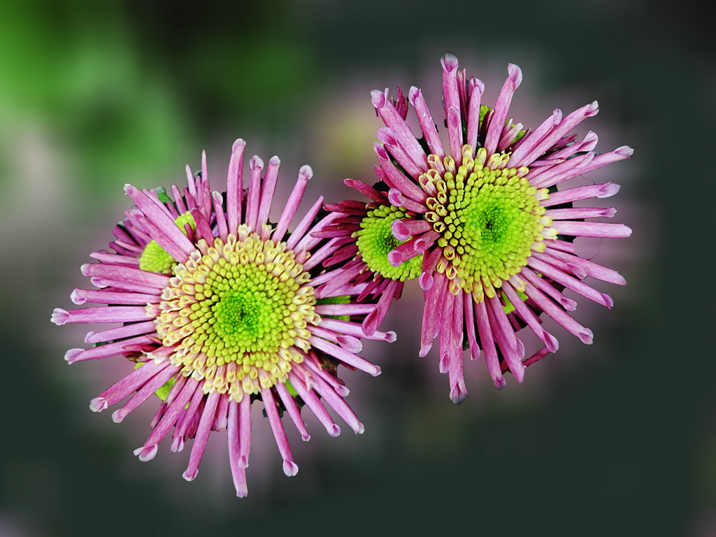 DSCN2294.JPG