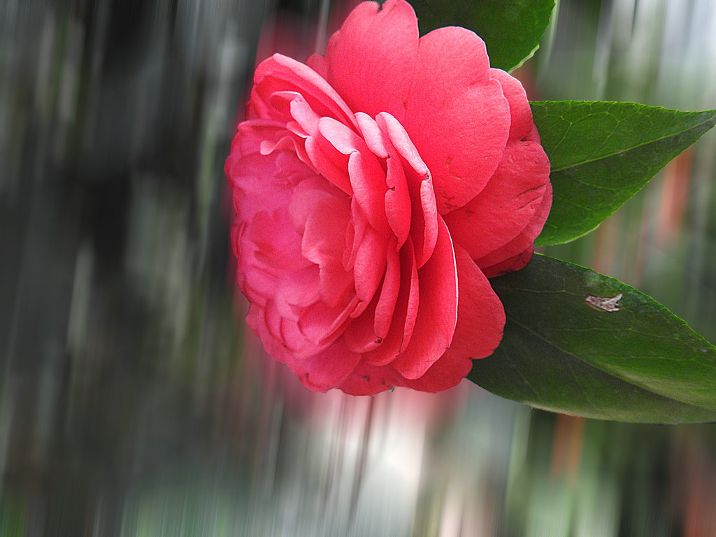 DSCN2296.JPG