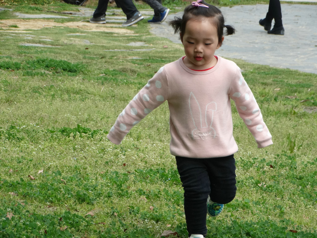 DSC08241.jpg