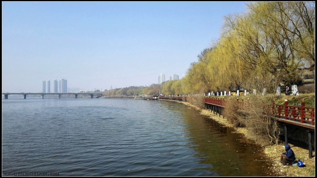 春风又绿浑河岸1.jpg