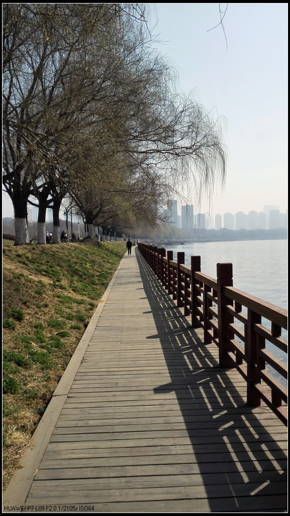 春风又绿浑河岸3.jpg