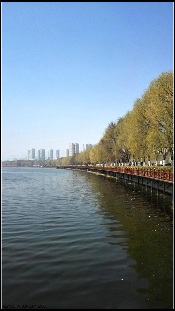 春风又绿浑河岸4.jpg