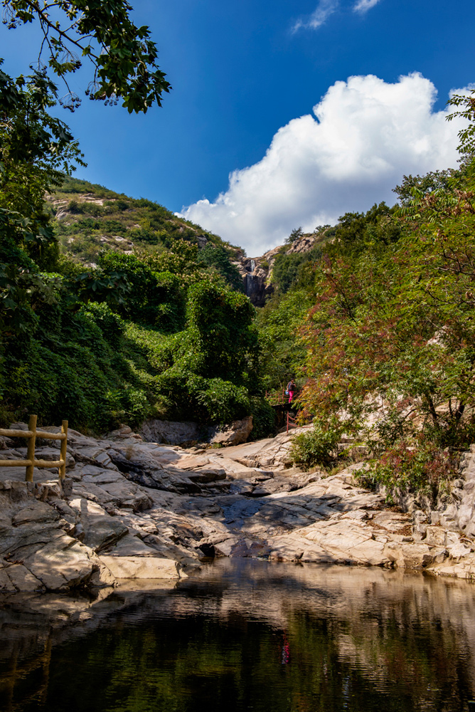 DSC_2906.jpg