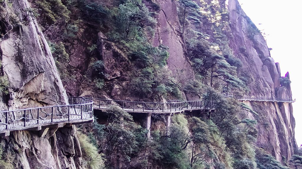 DSC01931.jpg